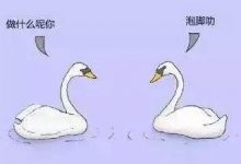 泡脚的好处非常多!针对不同体质的泡脚方法在这里!-温胆汤